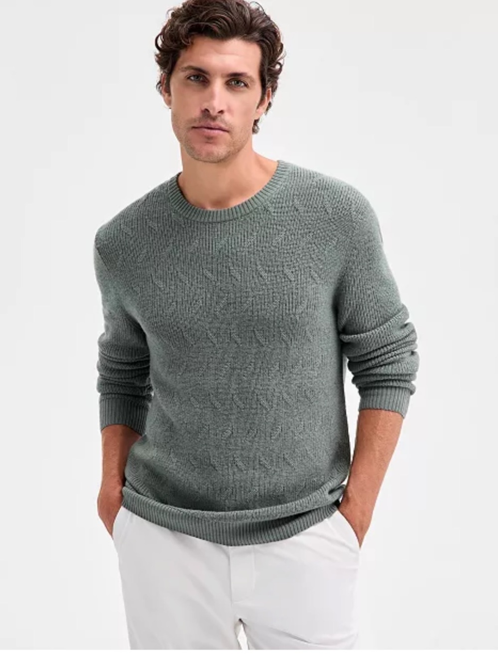 Alfani Men's Crewneck Sweater in Sage Green - Picture 1 of 4